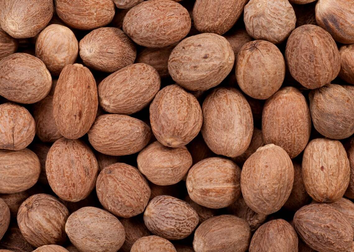 Medvice Exportama Jaya product photo 4