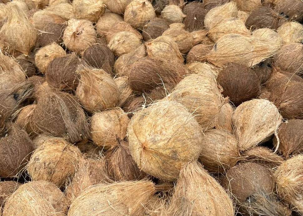 WhatsApp Image 2025-04-29 at 16.44.02 (2)